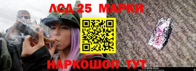 ALPHA PVP Кингисепп