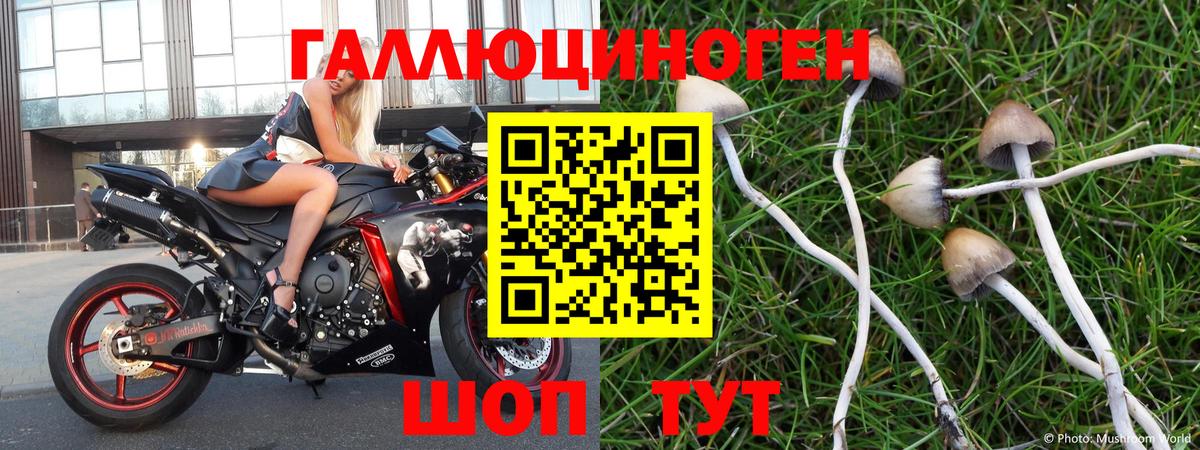 наркотики  Галлюциногенные грибы ЛСД  Галлюциногенные грибы MAGIC MUSHROOMS  Вход с VPN  Кемерово 